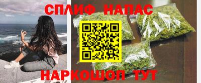spice Гусев