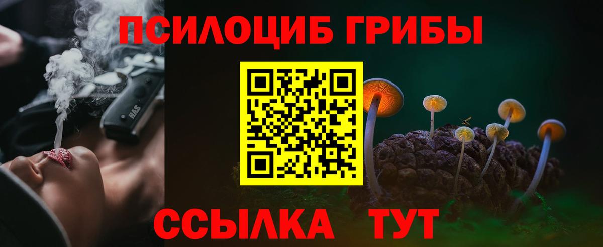 Псилоцибиновые грибы прущие грибы Ливны